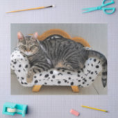 Sofa cat tissue papier (Craft)