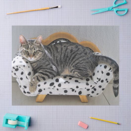 Sofa cat tissue papier (Craft)
