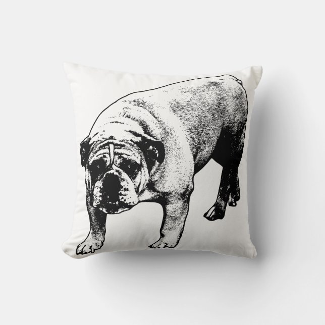 Sofa Sneeuwval Kalm Kussen (Voorkant)