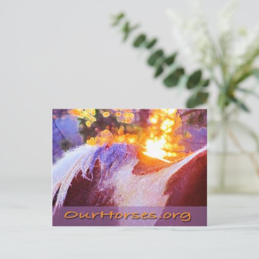 Sofi back-briefkaart briefkaart (Staand voorkant)