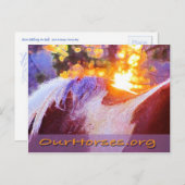 Sofi back-briefkaart briefkaart (Voorkant / Achterkant)