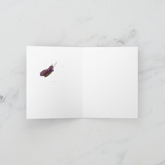 Sofia-droom (Binnen)