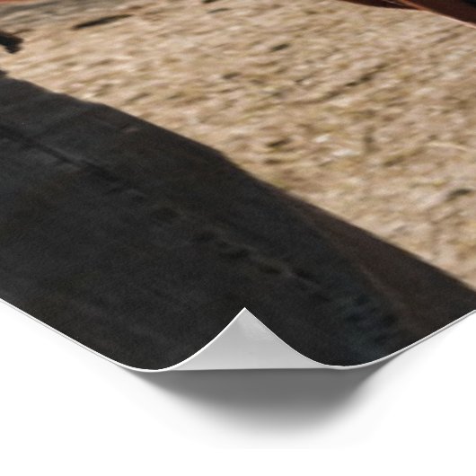 SOFIA Moderne Sjabloon van de Fotozetlijst Poster (Hoek)