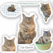 Sofie goedgekeurd Norwegian Forest Cat Vinyl Stick Sticker (Voorkant)