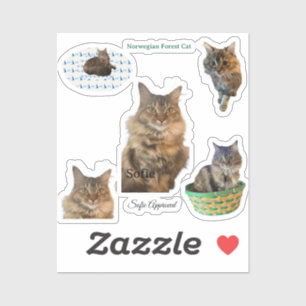 Sofie goedgekeurde Noorse Boskat Vinyl Stickers