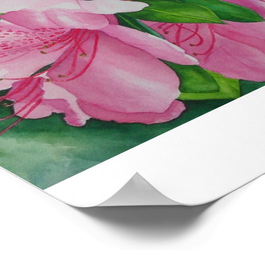 Soft Azaleas Poster (Hoek)