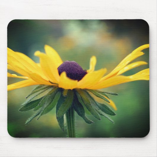 Soft Black Eyed Susan Flower Muismat (Voorkant)