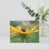 Soft Black Eyed Susan Flower Photography Briefkaar Briefkaart (Staand voorkant)