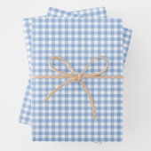Soft Blue Gingham Check Patroon Inpakpapier Vel (In situ)