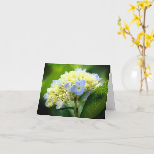 Soft Blue Hydrangea Flower Photography Note Kaart (Gele Bloem)