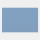 Soft Blue Hydrangea Pattern Inpakpapier Vel (Voorkant 2)