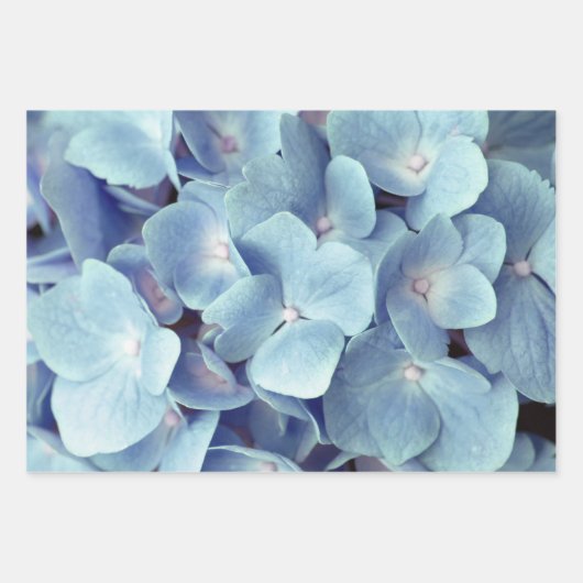 Soft Blue Hydrangea Pattern Inpakpapier Vel (Voorkant)