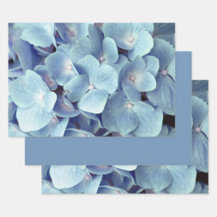 Soft Blue Hydrangea Pattern Inpakpapier Vel