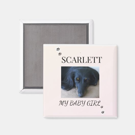 Soft Blush Pet Photo with Paw Print Accents Magneet (Voorkant / Achterkant)