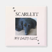 Soft Blush Pet Photo with Paw Print Accents Magneet (Voorkant)