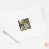 Soft Bond – White Tigers Sticker (Envelop)