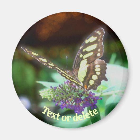 Soft Butterfly On Flower Nature Personalized Magneet (Voorkant)