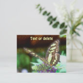 Soft Butterfly On Flower Nature Photo Personalized Briefkaart (Staand voorkant)