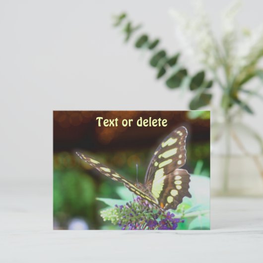 Soft Butterfly On Flower Nature Photo Personalized Briefkaart (Staand voorkant)