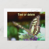 Soft Butterfly On Flower Nature Photo Personalized Briefkaart (Voorkant / Achterkant)
