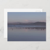 Soft California Coast Sunset Briefkaart (Voorkant / Achterkant)