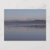 Soft California Coast Sunset Briefkaart (Voorkant)