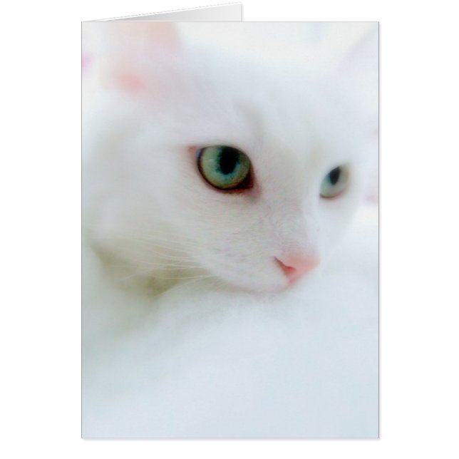 Soft Clouds (Voorkant)