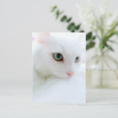 Soft Clouds Briefkaart (Staand voorkant)