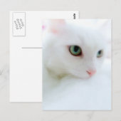 Soft Clouds Briefkaart (Voorkant / Achterkant)