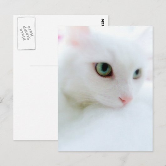 Soft Clouds Briefkaart (Voorkant / Achterkant)