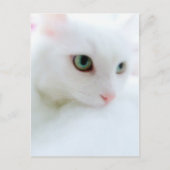 Soft Clouds Briefkaart (Voorkant)