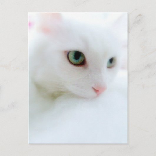 Soft Clouds Briefkaart (Voorkant)