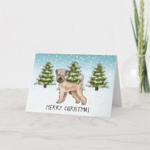 Soft-Coated Wheaten Terrier Besneeuwd Winterbos