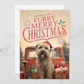 Soft Coated Wheaten Terrier Kerstkaart (Voorkant / Achterkant)