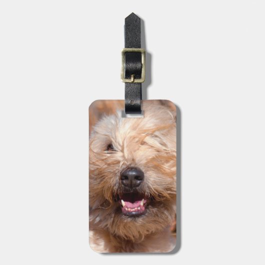 Soft Coated Wheaten Terrier portret Bagagelabel (Voorkant verticaal)