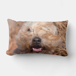 Soft Coated Wheaten Terrier portret Kussen