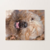 Soft Coated Wheaten Terrier portret Legpuzzel (Horizontaal)