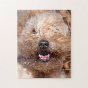 Soft Coated Wheaten Terrier portret Legpuzzel
