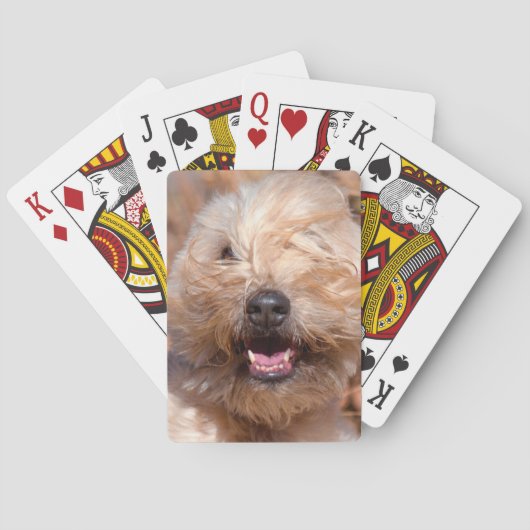 Soft Coated Wheaten Terrier portret Pokerkaarten (Achterkant)