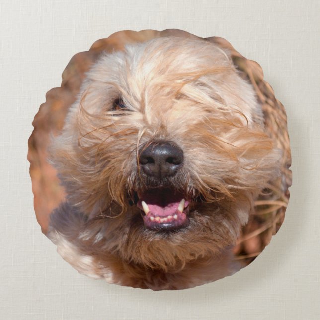 Soft Coated Wheaten Terrier portret Rond Kussen (Voorkant)