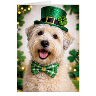 Soft Coated Wheaten Terrier St. Patrick's Day Kaar