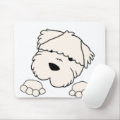 soft coated wheten terrier peeking muismat (Met muis)