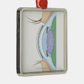 Soft Contact Lens Metalen Ornament (Rechts)