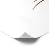 Soft Contact Lens Poster (Hoek)