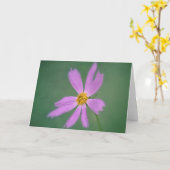 Soft Cosmos Flower Art-Kaart Kaart (Gele Bloem)
