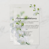 Soft Elegant Orchid Informatiekaartje (Voorkant / Achterkant)