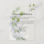 Soft Elegant Orchid Informatiekaartje (Voorkant)