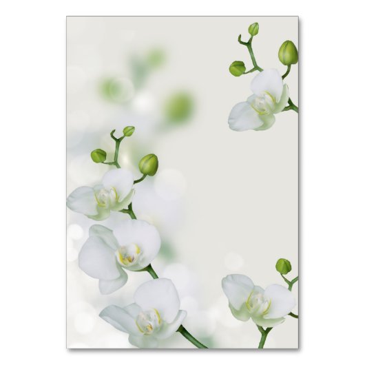 Soft Elegant Orchid Kaart (Achterkant)