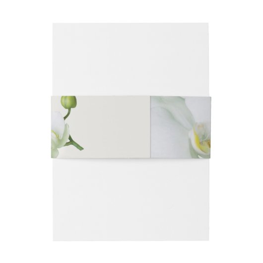 Soft Elegant Orchid Uitnodigingen Wikkel (Achterkant Voorbeeld)