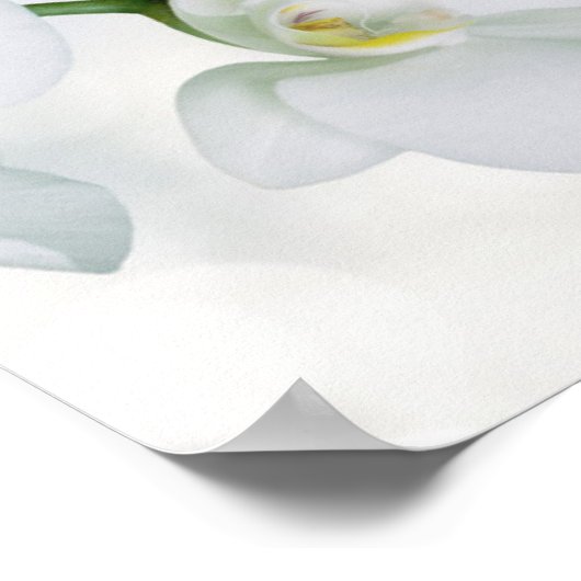 Soft Elegant Orchid Wedding Poster (Hoek)